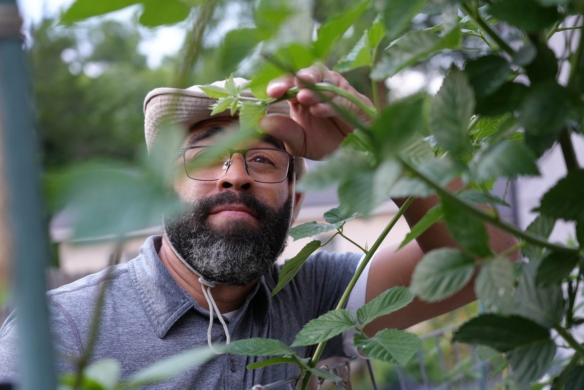 What a year of micro-farming taught Clinton Steward