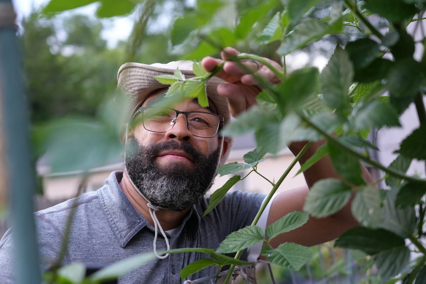 Clinton Steward examining blackberry canes at Steward Farms Marietta